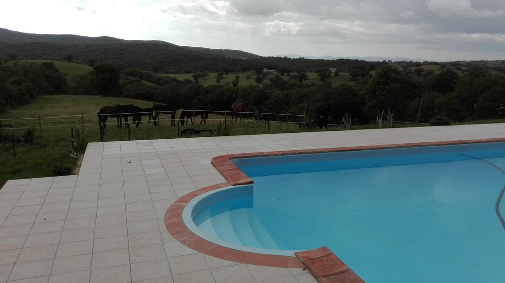 Agriturismo Collelungo Di Maremma Diaccialone المظهر الخارجي الصورة