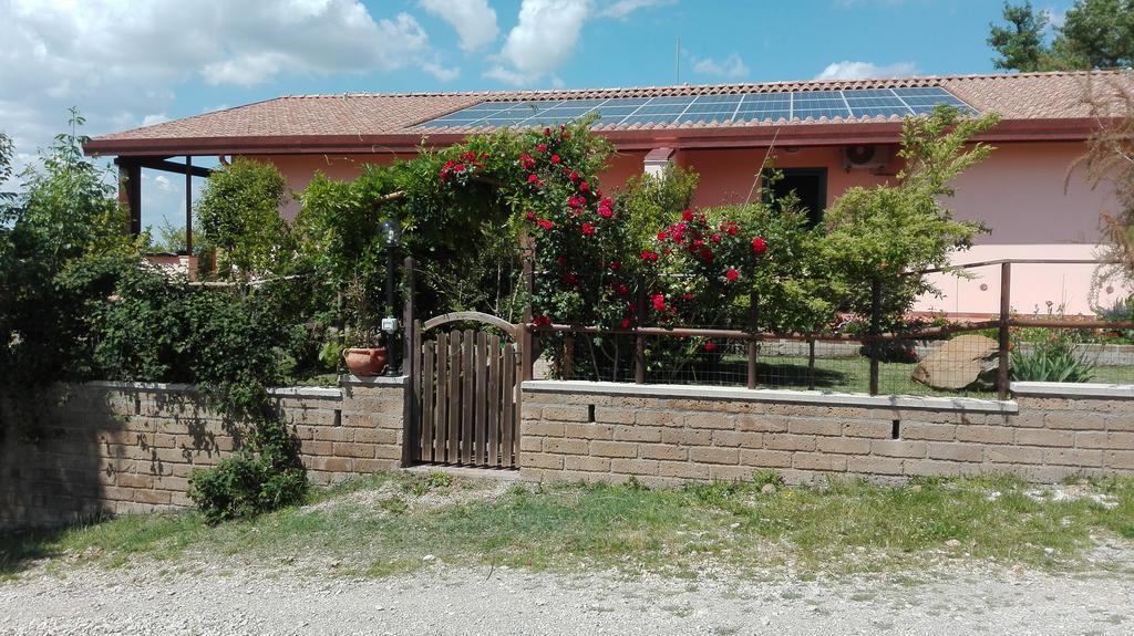 Agriturismo Collelungo Di Maremma Diaccialone المظهر الخارجي الصورة