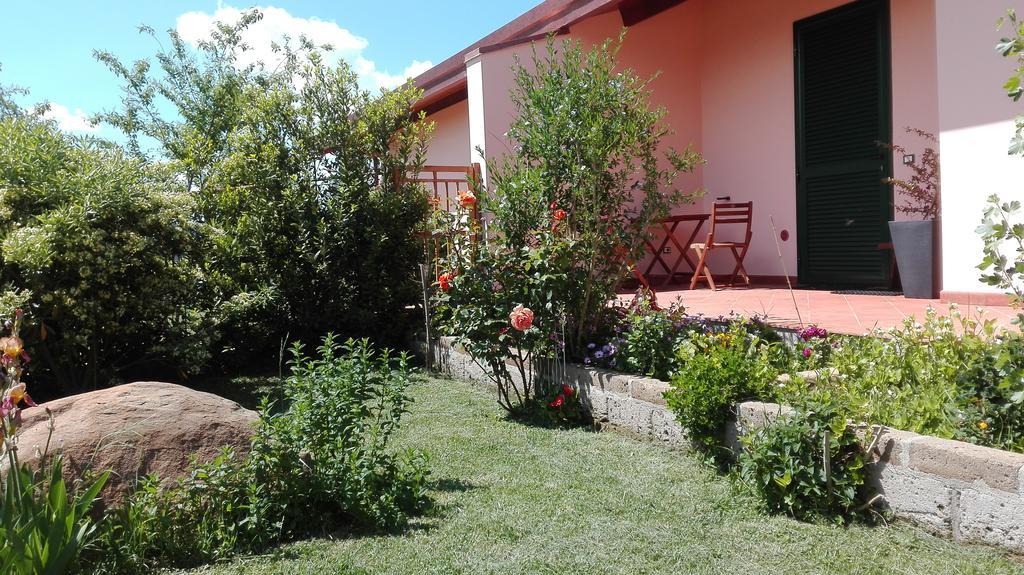 Agriturismo Collelungo Di Maremma Diaccialone المظهر الخارجي الصورة