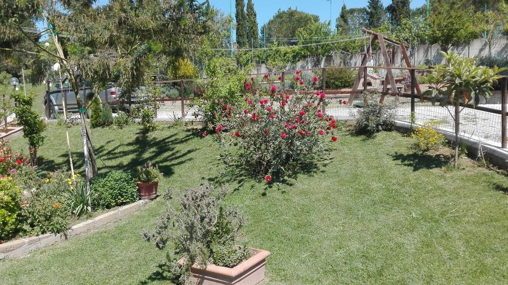 Agriturismo Collelungo Di Maremma Diaccialone المظهر الخارجي الصورة
