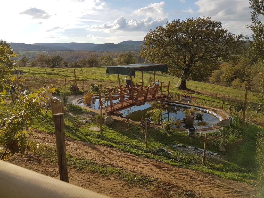 Agriturismo Collelungo Di Maremma Diaccialone المظهر الخارجي الصورة