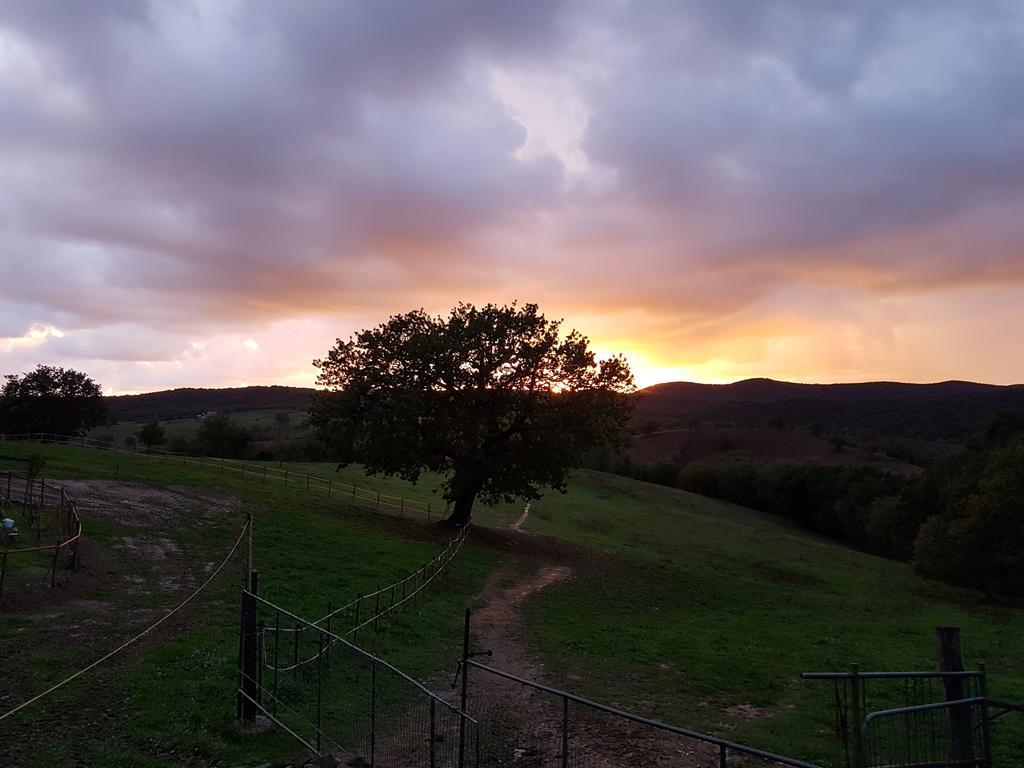 Agriturismo Collelungo Di Maremma Diaccialone المظهر الخارجي الصورة