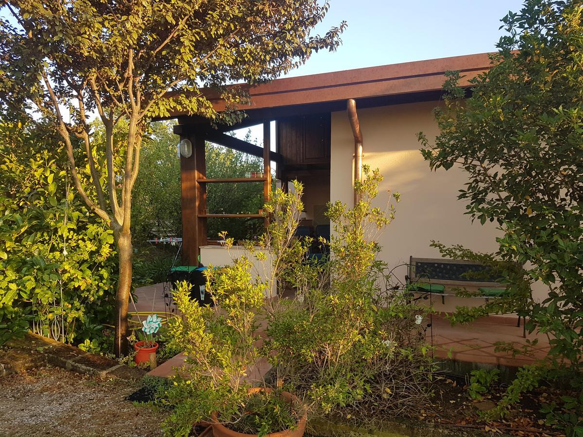 Agriturismo Collelungo Di Maremma Diaccialone المظهر الخارجي الصورة