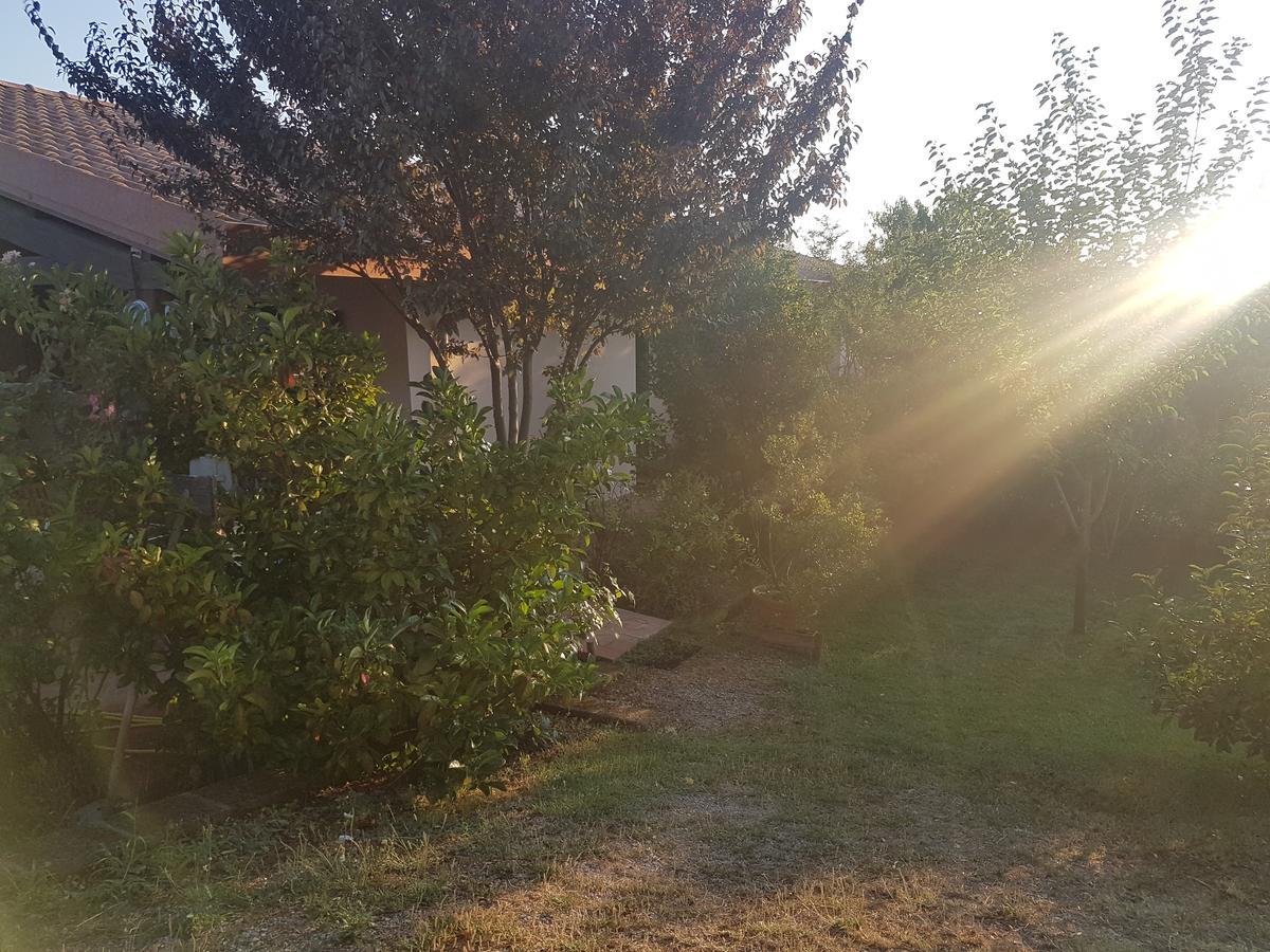Agriturismo Collelungo Di Maremma Diaccialone المظهر الخارجي الصورة